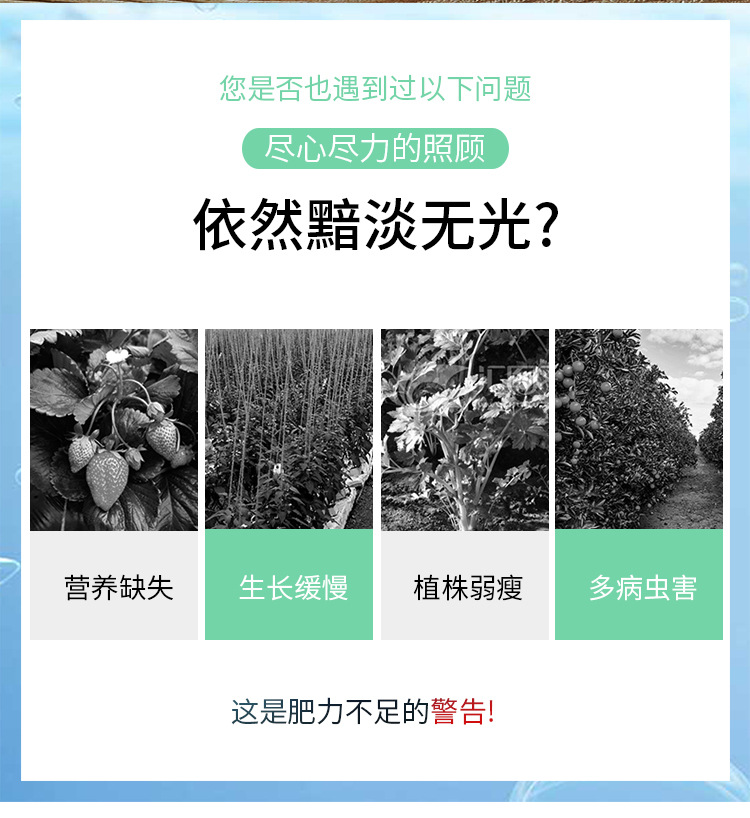 水溶肥料-_02