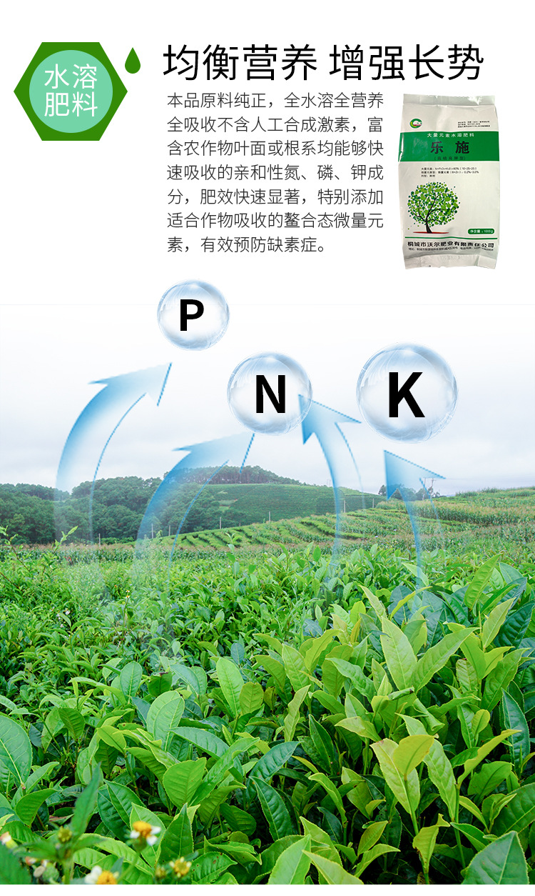 水溶肥料-_04