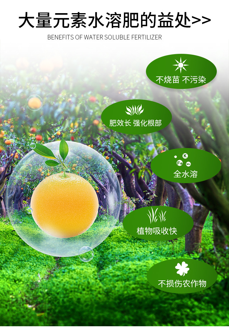 水溶肥料-_03