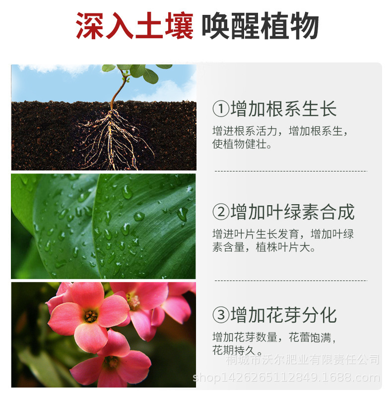 详情页-5.jpg