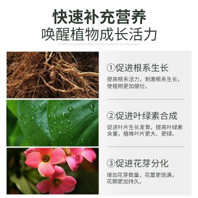 史丹利花肥料盆栽植物家用复合肥化肥花卉多肉蔬菜种菜果蔬通用型图4