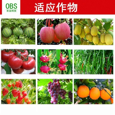 糖醇钙镁硼锌铁叶面肥中微量元素肥钙镁硼肥锌肥铁肥黄叶补钙包邮图4
