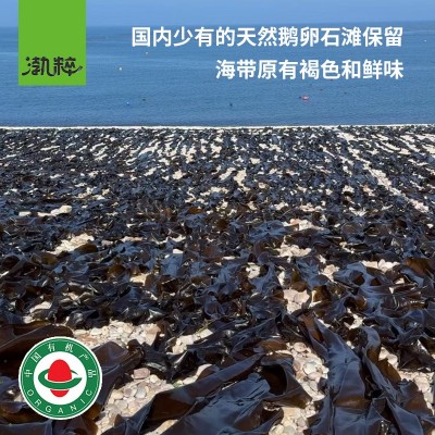 坤上特厚有机干海带板干货批发晒干散装商用无沙海带丝片煲汤凉拌图3