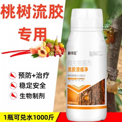 桃树流胶病专用药果树流胶一喷净桃树疮痂病穿孔葵阳病桃树流胶药图4