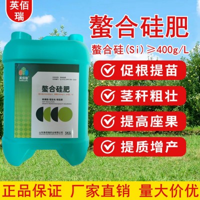 水稻专用硅肥叶面肥料返青灌浆促分蘖壮苗水溶肥强茎壮杆液体硅肥图2