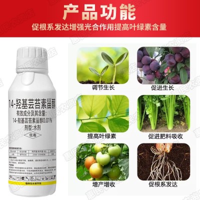14-羟基芸苔素甾醇 天然芸苔素内酯保花保果解药害植物生长调节剂图3