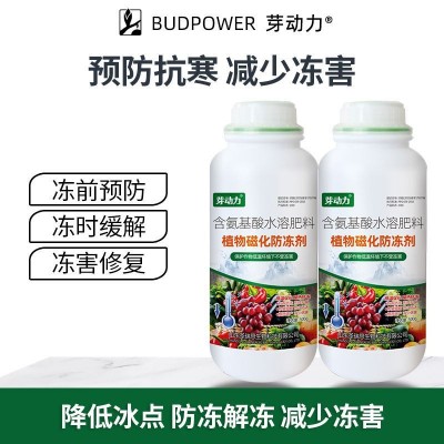 植物磁化防冻剂抗寒抗冻果树蔬菜花卉苗木大棚倒春寒抗冷防冻液图2