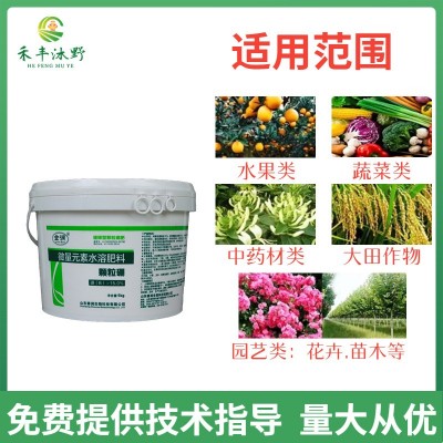 颗粒硼肥料底肥化肥颗粒棚硼肥棵粒棚油菜小麦果树农用水溶肥图3