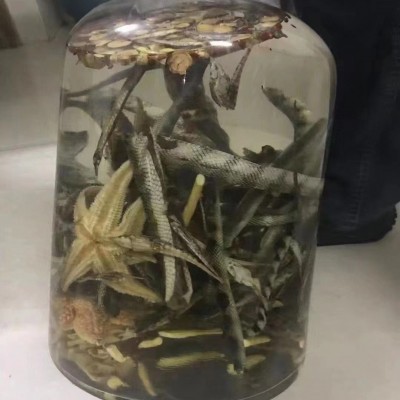 海蛇深海干货产品海蛇干干货煲汤泡酒支持批发一件代发图4