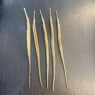 大货批发海龙干货清水六角龙煲汤药酒料海龙干货产地货源支持代发图4