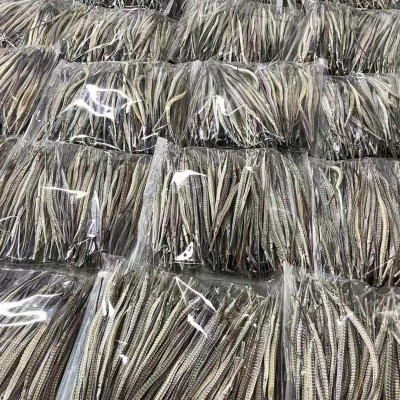 大货批发海龙干货清水六角龙煲汤药酒料海龙干货产地货源支持代发图2