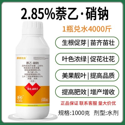 2.85%萘乙硝钠植物生长调节剂萘乙酸复硝酚钠冬小麦生根促根农药图2