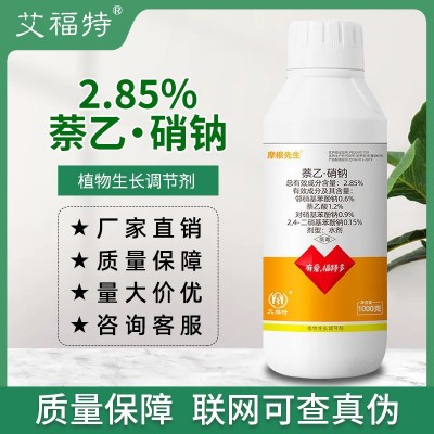 2.85%萘乙硝钠植物生长调节剂萘乙酸复硝酚钠冬小麦生根促根农药图3