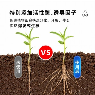 涵物快速生根液100ml高浓度强生根扦插水培土培全植物通用图2