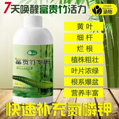 富贵竹营养液直喷花肥园艺通用型花卉盆栽发财绿萝植物图3