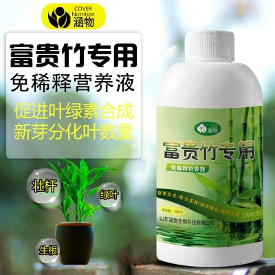 富贵竹营养液直喷花肥园艺通用型花卉盆栽发财绿萝植物图2
