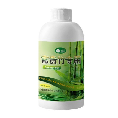 富贵竹营养液直喷花肥园艺通用型花卉盆栽发财绿萝植物图5