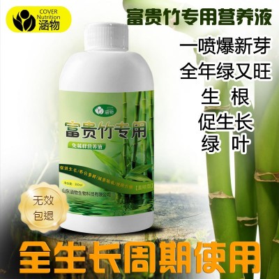 富贵竹营养液直喷花肥园艺通用型花卉盆栽发财绿萝植物图4