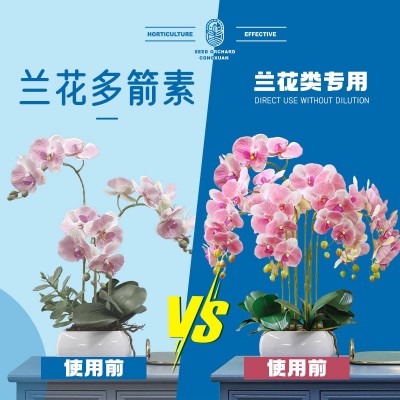 兰花多箭素肥料专用肥蝴蝶兰花肥花箭素多剑爆芽多箭兰灵王 营养液图4