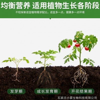 大量元素水溶肥平衡种植通用冲施肥滴灌喷施工厂批发好肥料水溶肥图3