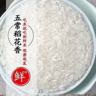 米范时代 五常大米5kg/袋 五公斤稻花香2号大米 当季新米图3