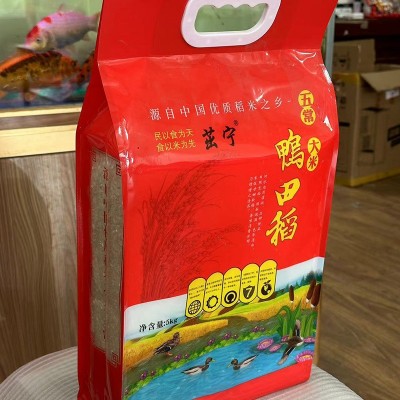 五常大米鸭田香米10斤5kg一袋东北新米稻花长粒香米厂家批发代发图2