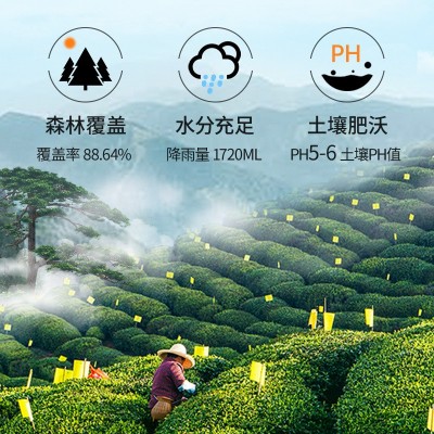 祁门红茶2024新茶特级高山春茶茶叶自己喝浓香型袋装散装批发500g图3