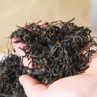 滇红 云南红茶凤庆古树红茶 500g蜜香红茶散装茶叶批发毛峰滇红茶图2
