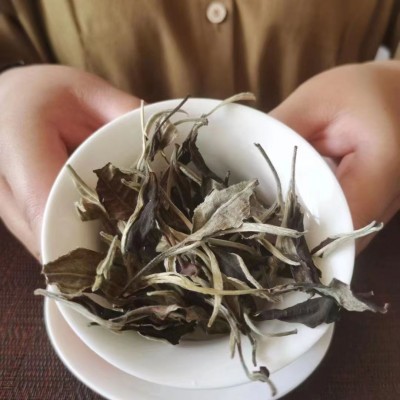 现货云南白茶景谷 老白茶古树白茶 月光白美人散茶大叶种散料茶叶图3