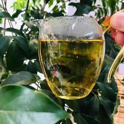 秧塔大白芽200克白豪银针白茶茶饼 高山古树大白芽 云南白茶批发图4