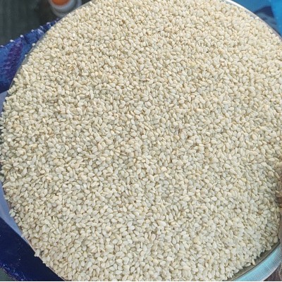 白芝麻 现货供应生白芝麻食品级袋装散装 农家白芝麻免洗干净无沙