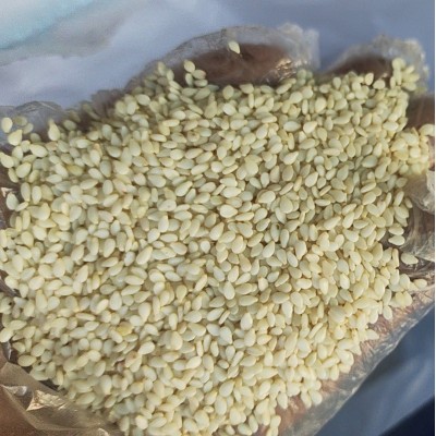 白芝麻 现货供应生白芝麻食品级袋装散装 农家白芝麻免洗干净无沙图4