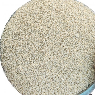 白芝麻 现货供应生白芝麻食品级袋装散装 农家白芝麻免洗干净无沙图5