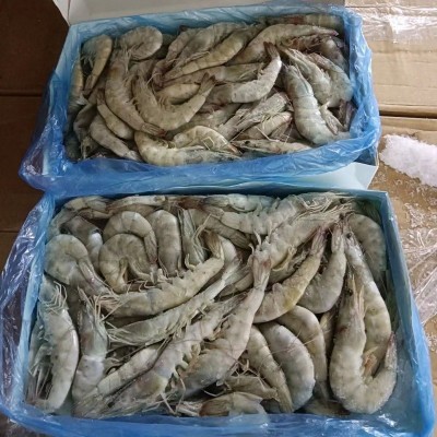 整箱批发5千克冻虾生鲜餐饮烹饪肉质鲜甜大海虾新鲜捕捞活冻大虾图5