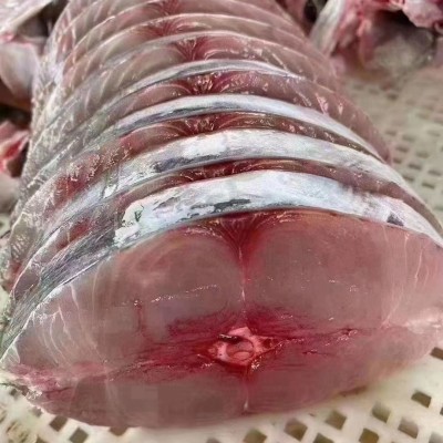 南海马鲛鱼纯中段肉质鲜嫩肥美康氏马鲛鱼片鲜冻海产博贺渔港特产图4