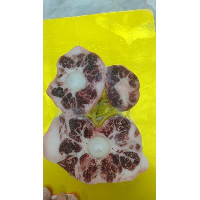 厂家供应澳洲203和牛牛尾 冷冻牛尾整根 原切牛尾巴澳洲和牛批发图5