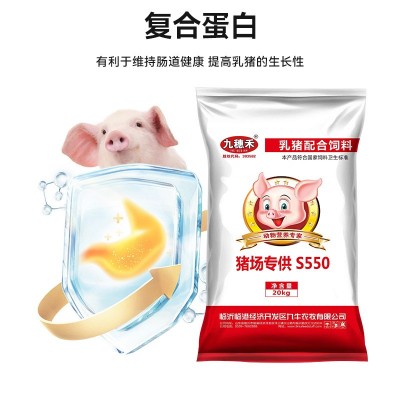 猪饲料乳猪教槽料小猪全价料仔猪断奶料颗粒料猪乳猪教槽料图4