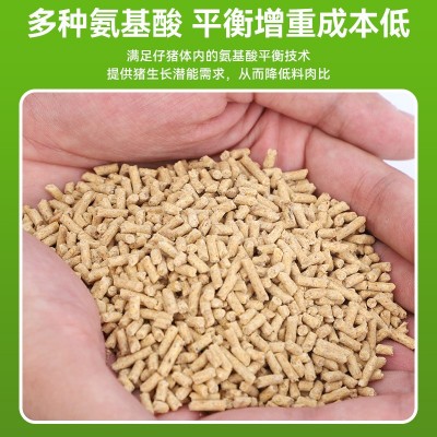 猪饲料乳猪教槽料小猪全价料仔猪断奶料颗粒料猪乳猪教槽料图2