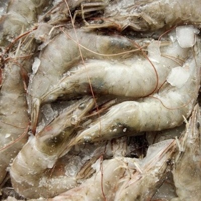 冷冻品配送 南北干货 品类齐全 蔬菜配送食材配送食材配送企业图3