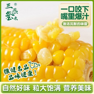 裕农水果玉米东北三燕釜米品牌真空鲜甜玉 米产地批发 49.9元/10根图4