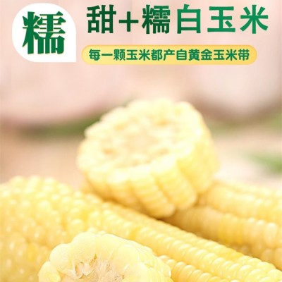 裕农真空糯玉米东北三燕釜米品牌甜加糯 玉米绿色健康 19.9元/8根图5
