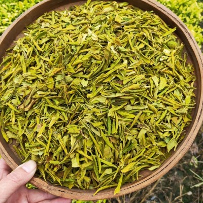 浙江2024年新茶明前茶春茶绿茶安吉工艺浓香型黄金芽茶叶批发散装图5