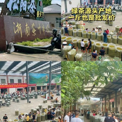 浙江2024年新茶明前茶春茶绿茶安吉工艺浓香型黄金芽茶叶批发散装图3