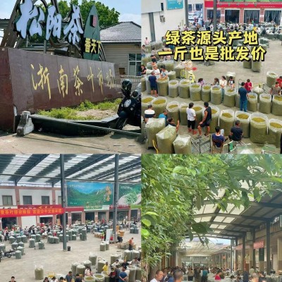 拾峰日照高山云雾绿茶茶叶批发市场散装2024新茶崂山炒青松阳香茶图2