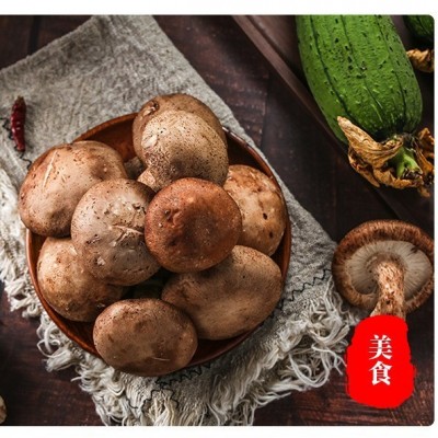 古田香菇500g干货现货批发散装冬菇珍珠菇金钱菇源头厂家直销图2
