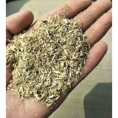 花生糠 纯干花生茎加工青贮 植物纤维营养价值留成草场图2