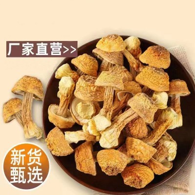 【代发】姬松茸干货新货古田特产甄选菌菇蘑菇净重袋装厂家批发