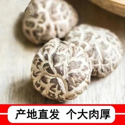 福建古田花菇干货剪脚肉厚新货干花菇土特产农家菌菇食用农产品