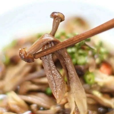 新货古田鹿茸菇食用菌干货脆脆菇250克包装各种规格各类平台代发图4