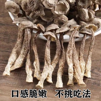 新货古田鹿茸菇食用菌干货脆脆菇250克包装各种规格各类平台代发图3